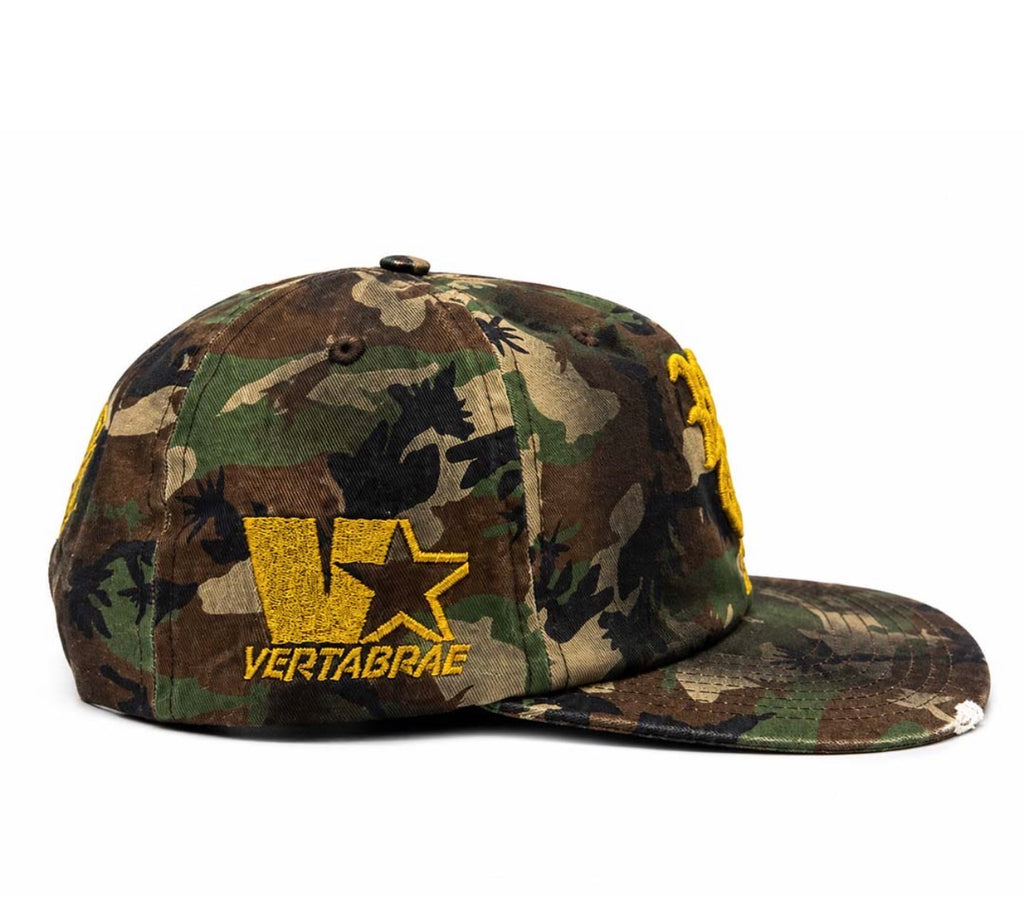 Vertabrae Camo SnapBack Hat