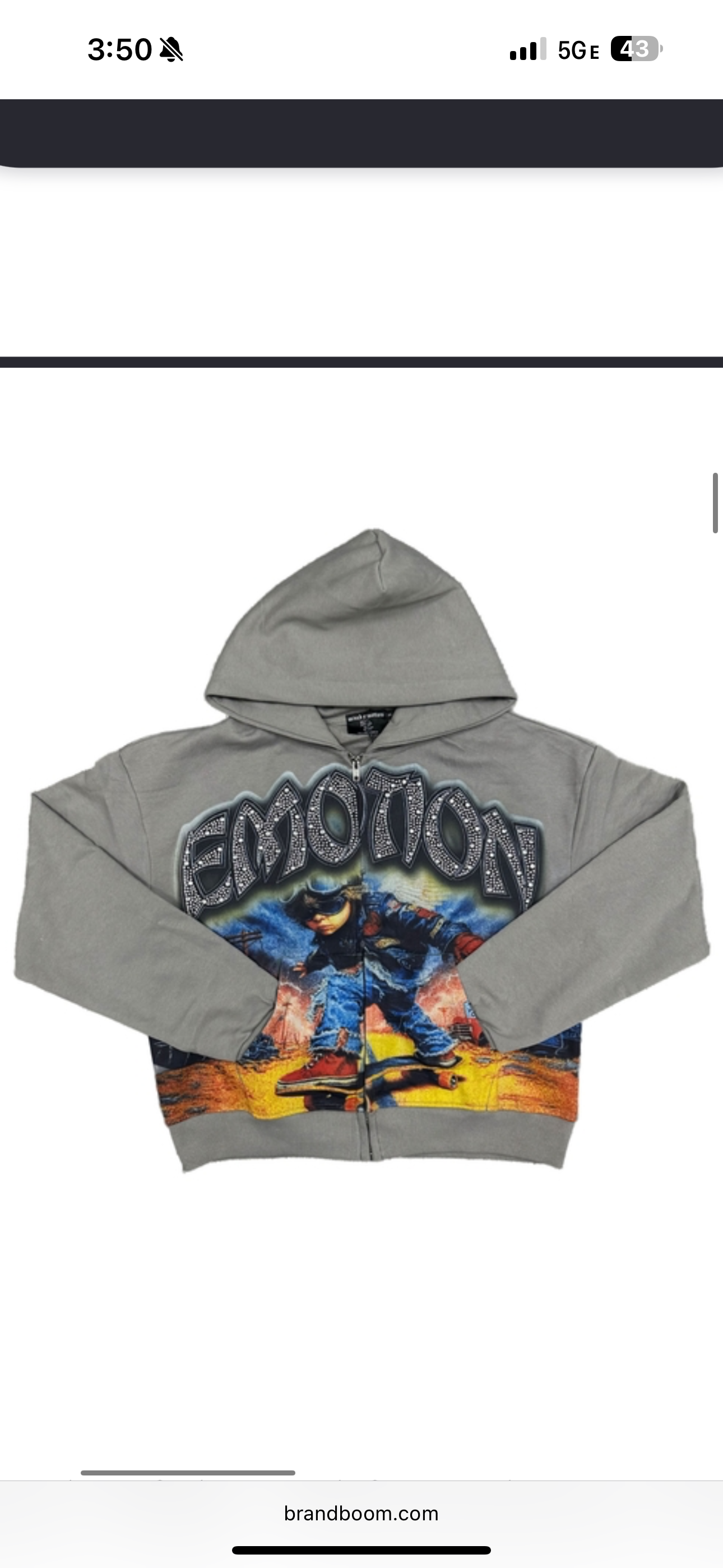 Mixed Emotions Skate Zip up hoodie grey