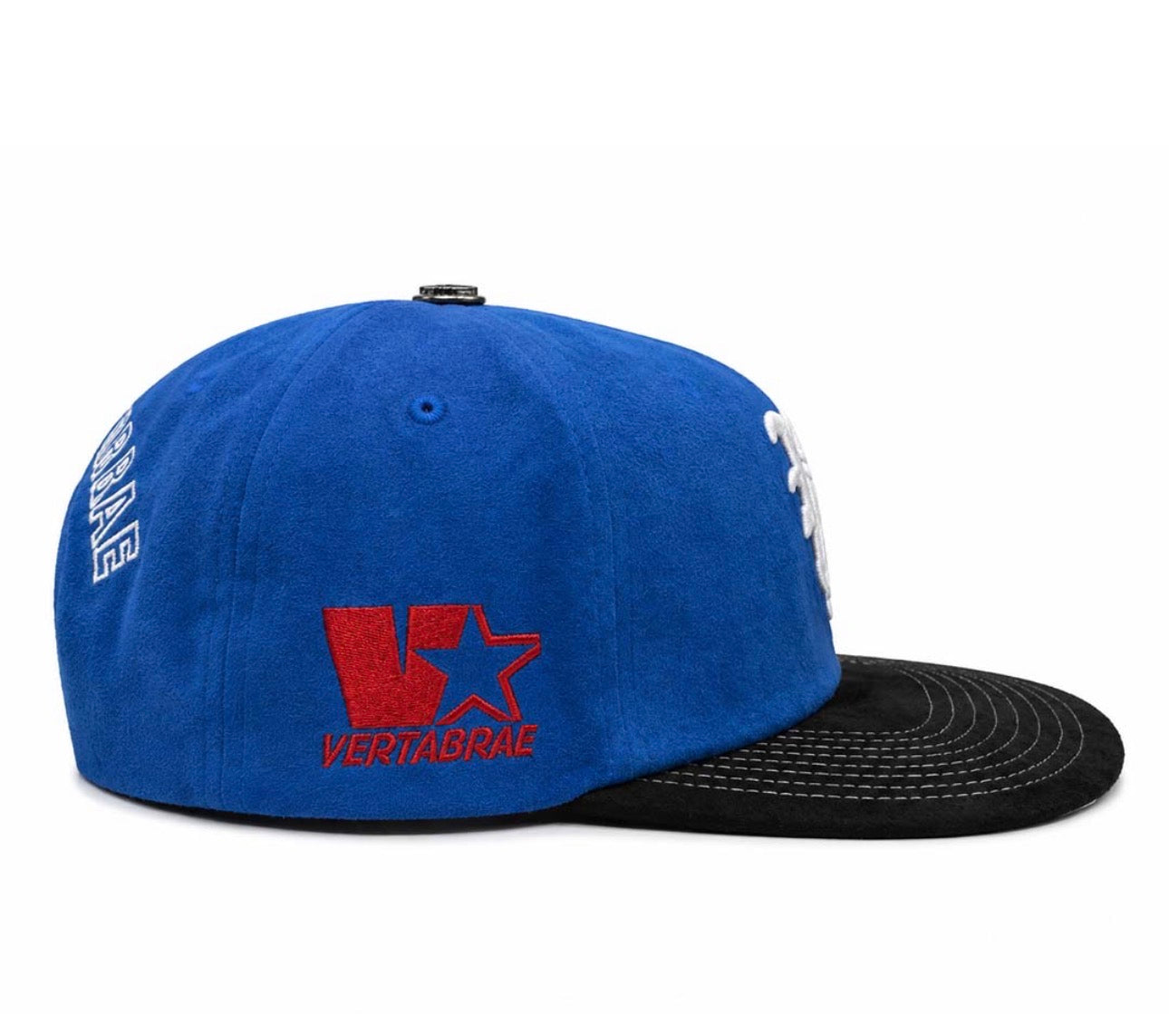 Vertabrae SnapBack Hat (Blue/Black)