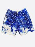 Louis Vuitton Monogram Shorts (Blue/White)