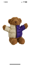 Supreme X The North Face “Bear”