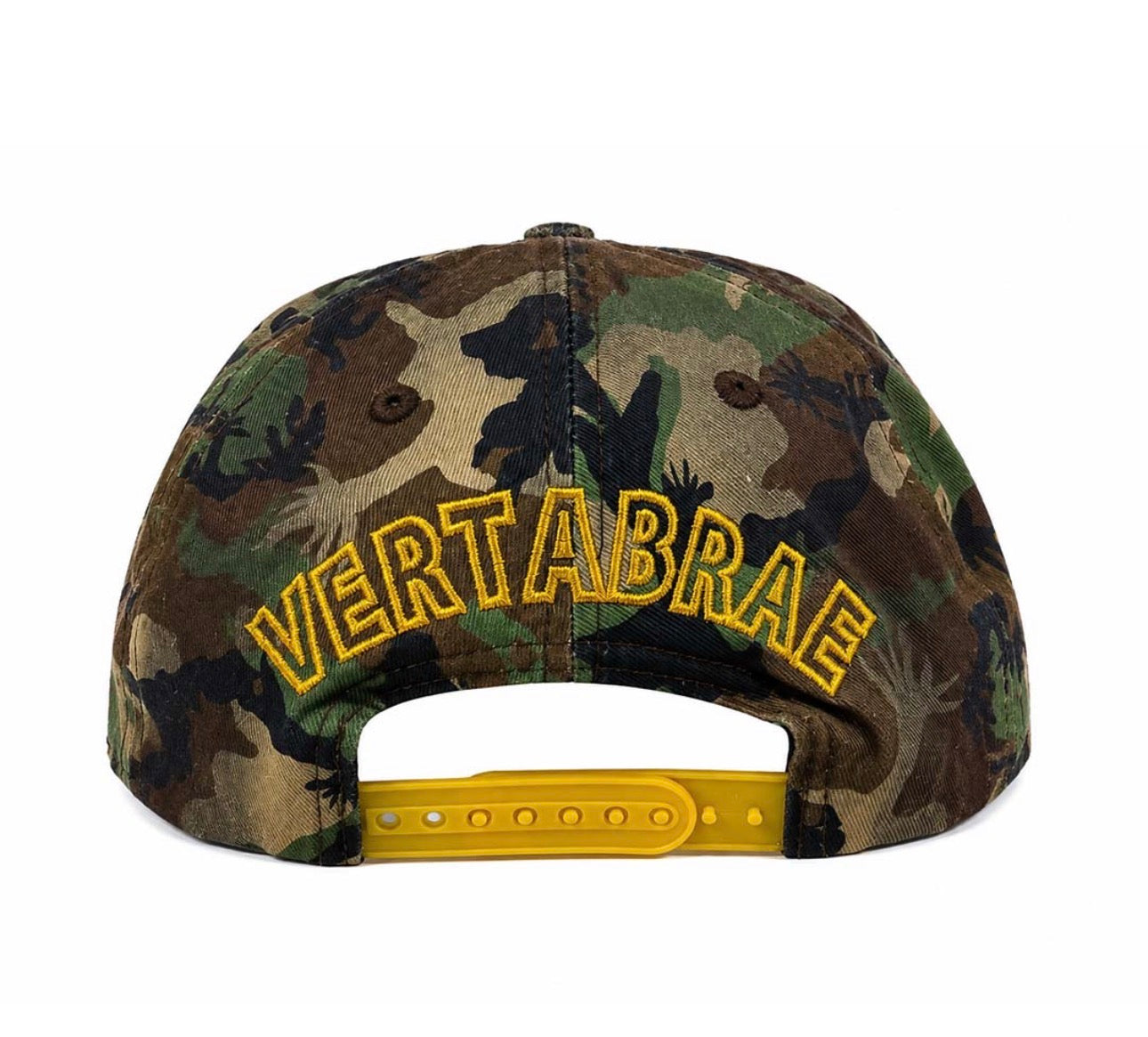 Vertabrae Camo SnapBack Hat