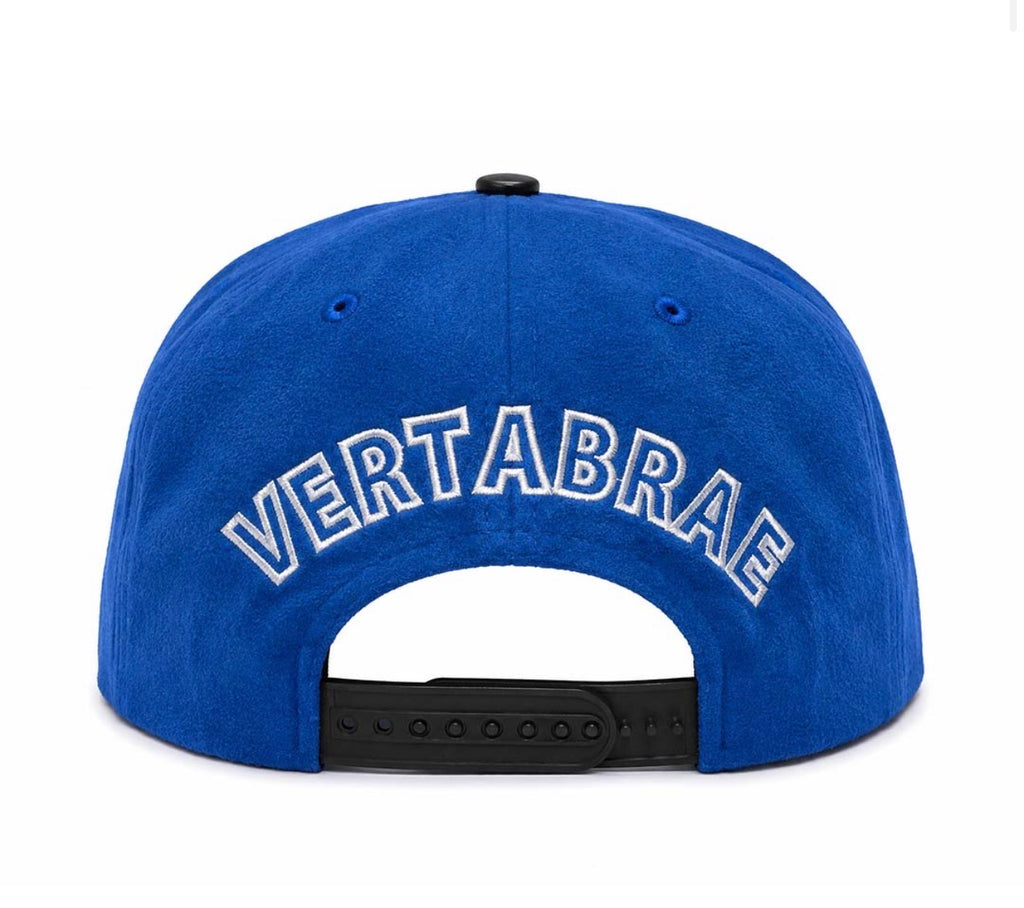 Vertabrae SnapBack Hat (Blue/Black)