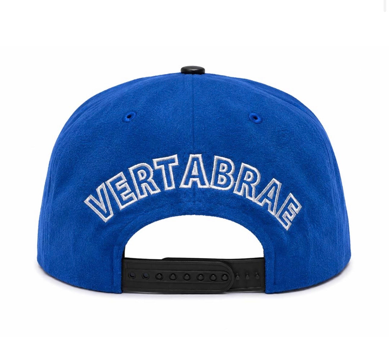 Vertabrae SnapBack Hat (Blue/Black)