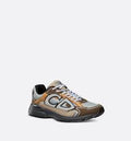 Dior B30 (Brown/Grey)