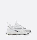 Dior B22 (White/Grey)