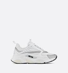 Dior B22 (White/Grey)